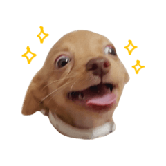 [LINEスタンプ] ふくまるすたんぷ1