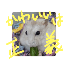 [LINEスタンプ] はんぺん2nd