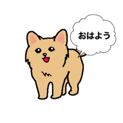 [LINEスタンプ] ポメラニアンのご挨拶