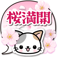 [LINEスタンプ] 春満開！和風な猫ちゃんフキダシ（日本語）の画像（メイン）