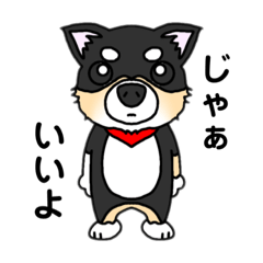 [LINEスタンプ] チワワのジャックの日常