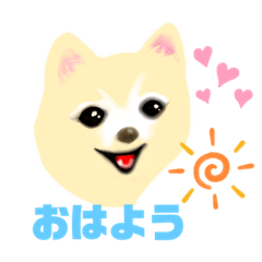 [LINEスタンプ] ポメラニアンと一緒に