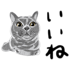 [LINEスタンプ] おしゃべり イヴ、サン、ローラン