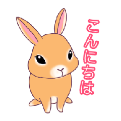 [LINEスタンプ] かわいいうさぎのスタンプ1