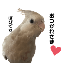 [LINEスタンプ] ぽぴちゃんです