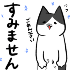 [LINEスタンプ] ねこ...w2