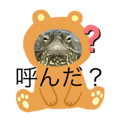 [LINEスタンプ] 亀好き