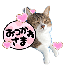 [LINEスタンプ] キー君とテンちゃん