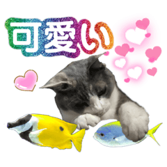 [LINEスタンプ] ガレージ猫グーの日常会話