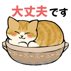 [LINEスタンプ] 【丁寧に伝える】猫たちのスタンプ