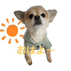 [LINEスタンプ] おまめのにちじょう03