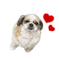 [LINEスタンプ] ちょこくんのすたんぷ2♡