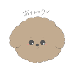 [LINEスタンプ] わんこ トイプー