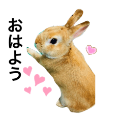 [LINEスタンプ] うさぎのマロンちゃん〜第2弾〜