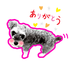 [LINEスタンプ] モンちゃんのモンモンとした日々