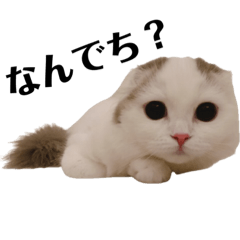 [LINEスタンプ] おぱんざさーど