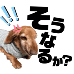 [LINEスタンプ] らぶぞぅy