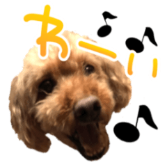 [LINEスタンプ] うちの子 犬たち2