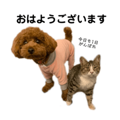 [LINEスタンプ] こむぎ禄