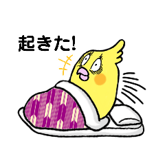 [LINEスタンプ] オカメインコの毎日使える日常スタンプ