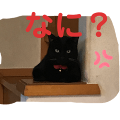 [LINEスタンプ] らみとくもの可愛いスタンプ