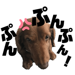 [LINEスタンプ] らぶぞぅz