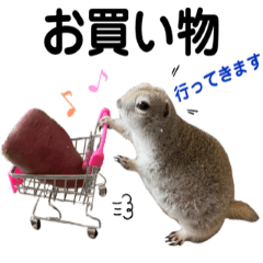 [LINEスタンプ] リチャードソンジリスのとろろ第三弾