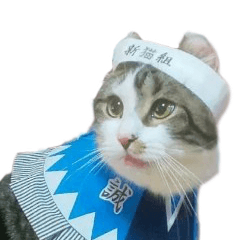 [LINEスタンプ] 燃えよ猫