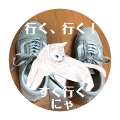 [LINEスタンプ] にゃん！とも可愛く便利8毎日使える花や猫