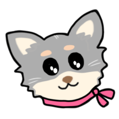 [LINEスタンプ] キュートなチワワ犬スタンプ（10-c ）