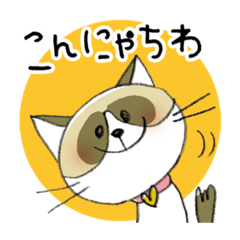 [LINEスタンプ] にゃんちゅうの楽しい毎日