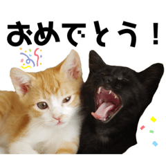 [LINEスタンプ] とうふぽんず