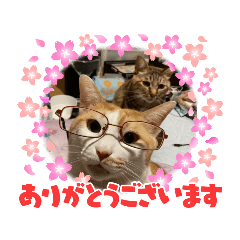 [LINEスタンプ] そらべにスタンプ♪