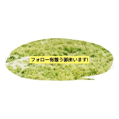 [LINEスタンプ] 月山いつこ作品LINEスタンプ33☆くろねこ