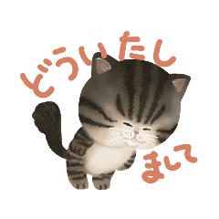 [LINEスタンプ] 毎日の生活にネコネコファンタジー