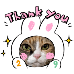 [LINEスタンプ] ふくにゃんスタンプ その2
