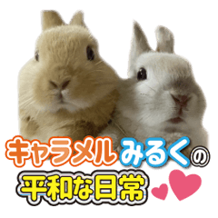 [LINEスタンプ] みるくとキャラメルの平和な日常(実写版)