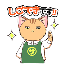 [LINEスタンプ] CIT人気猫の使いやすい敬語スタンプ