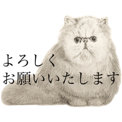 [LINEスタンプ] 動物デッサン物語3