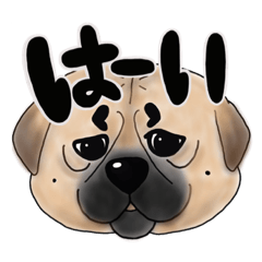 [LINEスタンプ] 石井の野犬〔せんべぇ〕