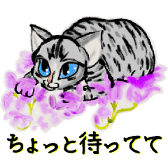 [LINEスタンプ] お祝い＆日常に猫と華の大人かわいい水墨画