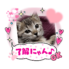 [LINEスタンプ] ちっちゃふうちゃん3