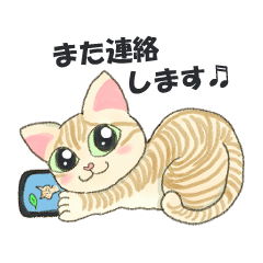 [LINEスタンプ] 元保護猫・茶トラのチャッピー日常スタンプ