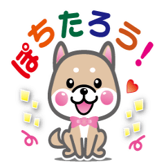 [LINEスタンプ] 動く♪ぽちたろう