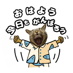 [LINEスタンプ] 猫(キジトラ)日常で使える可愛いスタンプ