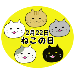 [LINEスタンプ] いろんなねこさんの毎日スタンプ