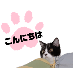 [LINEスタンプ] I♡SABUROU(3)