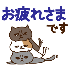 [LINEスタンプ] 5匹のゆるいねこさん（デカ文字敬語ver）