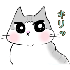 [LINEスタンプ] サバ白ねこ