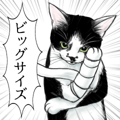 [LINEスタンプ] 使える！漫画みたいなリアル猫BIGスタンプ